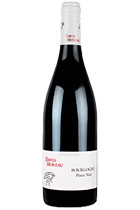 David Moreau Bourgogne Pinot Noir 2016